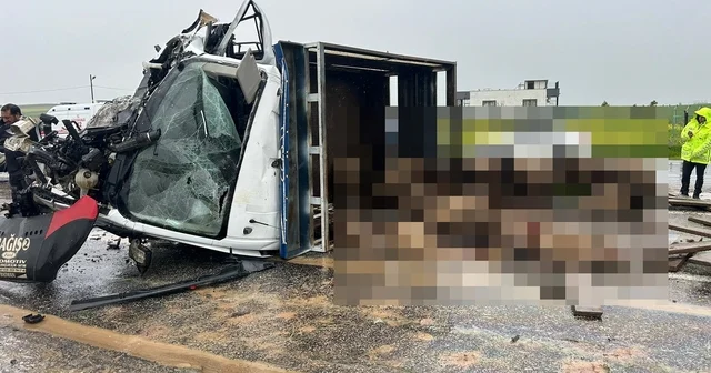 Siirt te koyun yüklü kamyonet ile otomobil çarpıştı: 2 ölü, 3 yaralı Siirt Haberleri