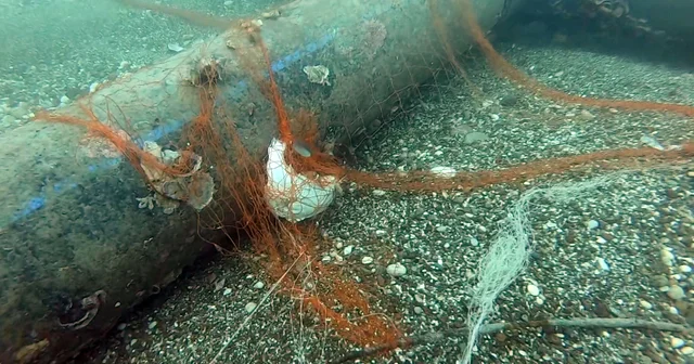 Temizlenen hayalet ağlar ile 1,5 milyon deniz canlısı kurtarıldı Antalya Haberleri