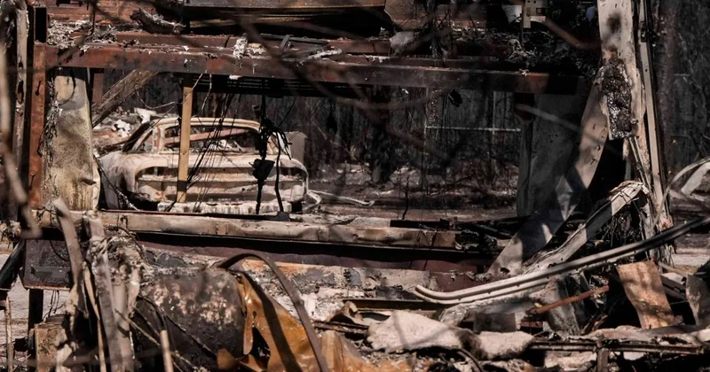 ABD nin Georgia eyaletinde orman yangınlarında 120 den fazla ev kül oldu