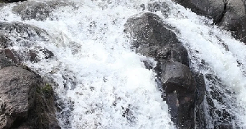 Kayserililerin hasreti bitti: Öldü sanılıyordu, yeniden doğdu Sözcü Gazetesi