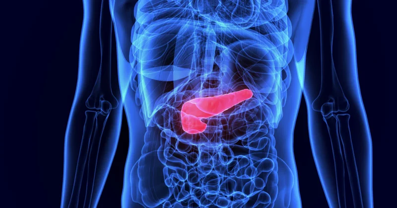 Vücudunuzun detoks merkezini bu gıdalarla koruyun: Karaciğeri temizleyen 5 yiyecek!