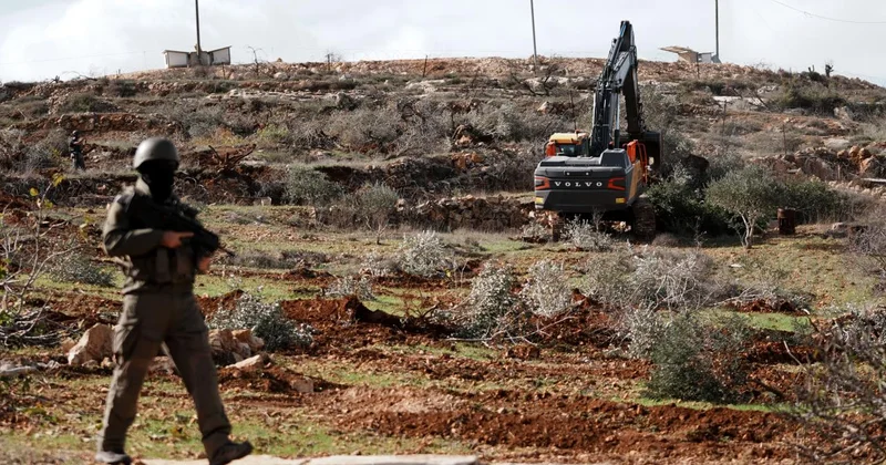 İsrailli işgalciler Batı Şeria da 400 zeytin ağacını kesti