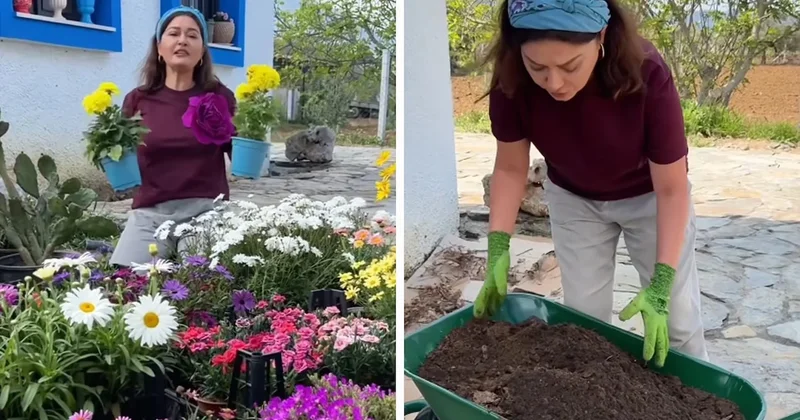 Şehri terk edip Ege’de köye yerleşen Nurgül Yeşilçay toprakla buluştu Sözcü Gazetesi