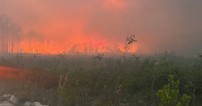 ABD de en az 120 ev yangında kül oldu Sözcü Gazetesi