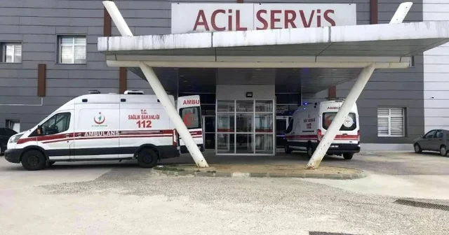 Arı saldırısına uğrayan yaşlı çift hastanelik oldu Tekirdağ Haberleri