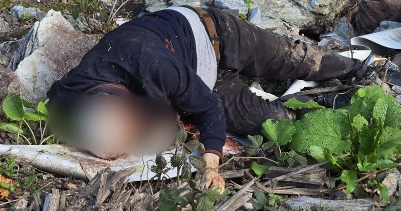 Düzce de Bıçaklanmış Adam Cesedi Bulundu