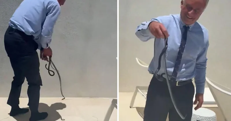 ABD Sağlık Bakanı, yılanı kendi elleriyle yakaladı
