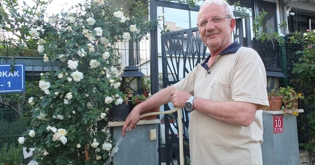 Burhaniye Ören de bahçelerde gül güzelliği yaşanıyor Balıkesir Haberleri