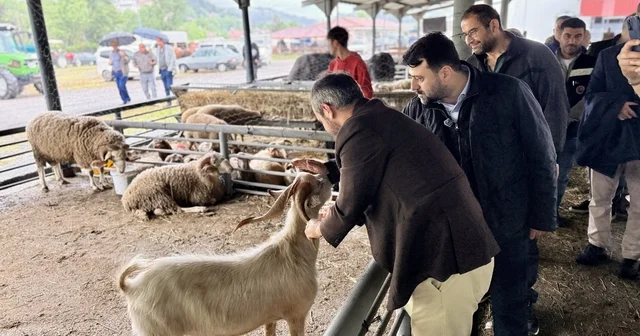 Şahin ve Çetinkaya dan Kurban satış alanına ziyaret Karabük Haberleri