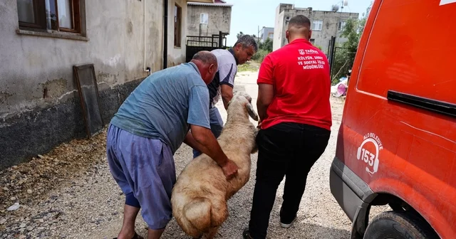 Tarsus Belediyesinden şehit ailelerine bayram desteği Mersin Haberleri