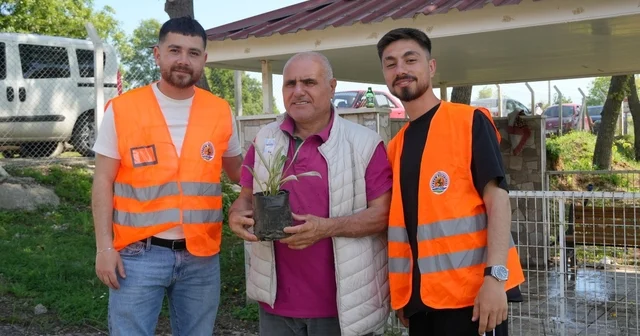 Atakum Belediyesinden kabir ziyareti yapan vatandaşlara çiçek fidesi Samsun Haberleri