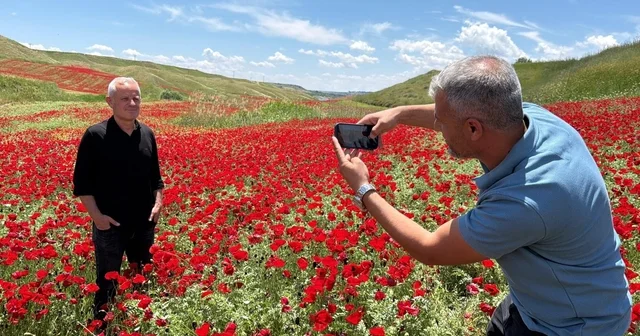 Gelinciklerle kırmızıya bürünen nohut tarlası hayran bıraktı Adıyaman Haberleri
