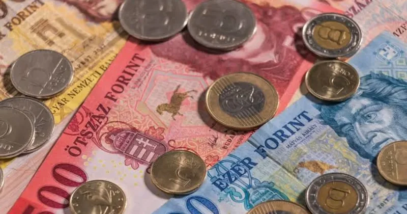 Bir ülke daha Euro ya geçiyor! Forint tedavülden kalkacak mı?