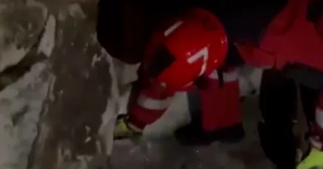 Muğla da taş duvara sıkışan kediyi itfaiye kurtardı VİDEO İZLE