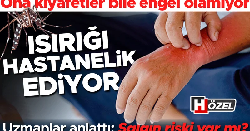 Isırığı hastanelik ediyor! Kıyafetler bile engel olamıyor, gündüzleri saldırıyor... Uzmanlar anlattı: Kalıcı hale mi geldi ve salgın riski var mı?