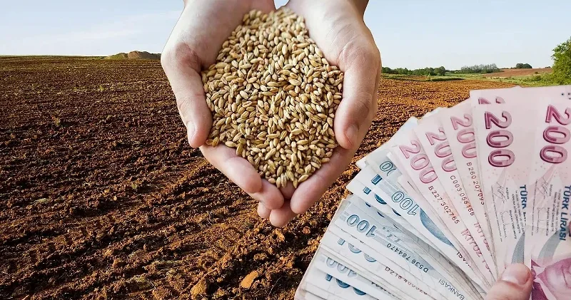 TMO hububat ödemeleri hesaplara yattı mı? Bakan Yumaklı açıkladı Son Dakika Haberleri