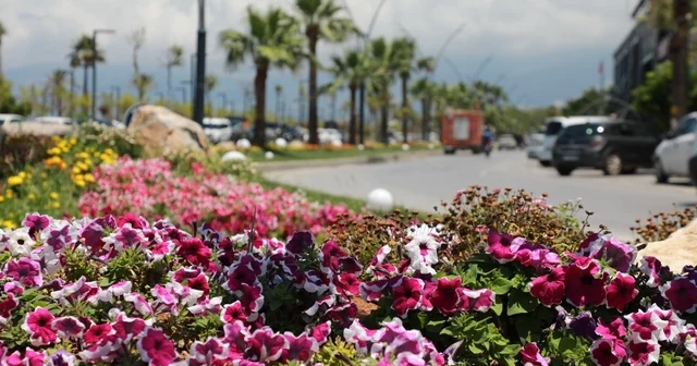 İskenderun sahili renkli çiçeklerle süslendi. Hatay Haberleri Habertürk Yerel Haberler