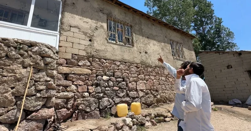 Evleri yılanların istilası altında: Hayatları kabusa dönen aile, yetkililerden yardım istiyor
