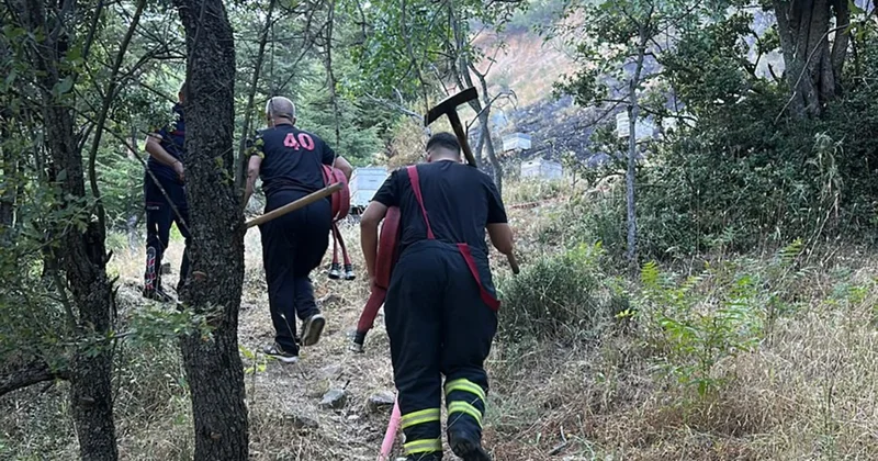 Yangını söndürmeye giden ekip arıların hedefi oldu Sözcü Gazetesi