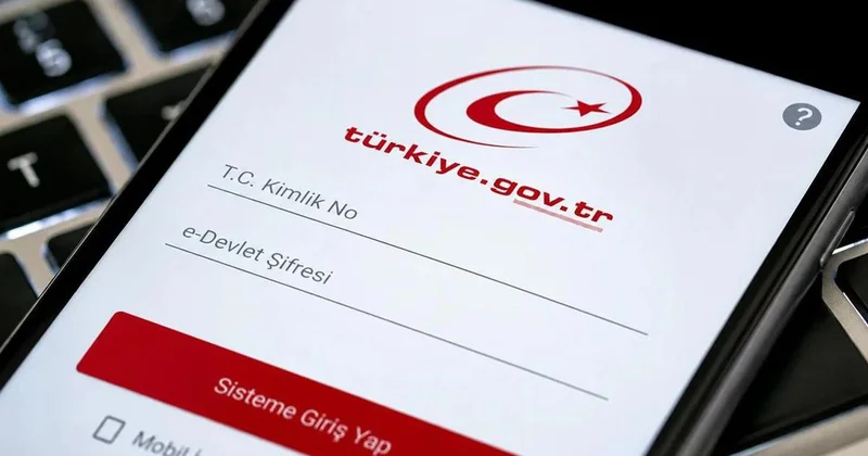 e Devlet e giren herkes bunu kontrol etsin! Adınıza şirket kaydı çıkabilir