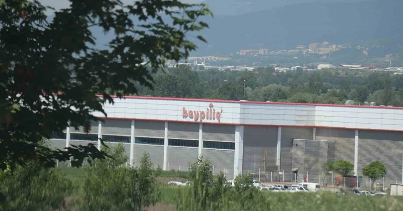 Bolu da İlaçlama Faciası: 34 İşçi Zehirlendi