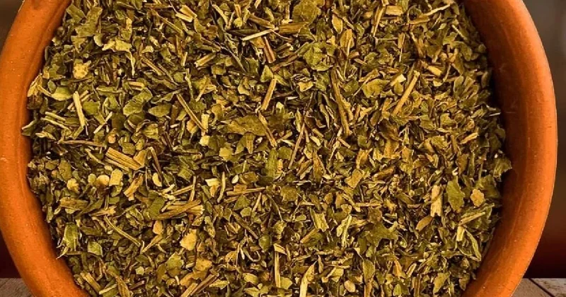 365 günü kesintisiz hasat yapılıyor: Aylık getirisi 150 bin lira Sözcü Gazetesi