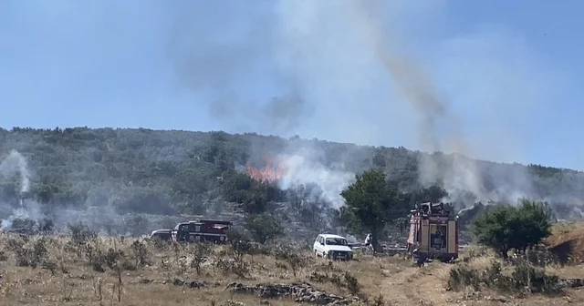 Arıcının tütsüsü ormanı yaktı Ekipler alevlerle ve arılarla mücadele etti Denizli Haberleri Habertürk Yerel Haberler