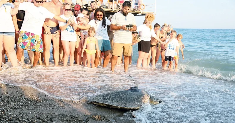 Engelli caretta takipte