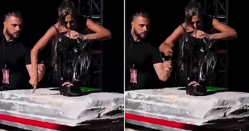 Konserde şaşırtan anlar: Yıldız Tilbe kendisini tutmak isteyen güvenliği itti