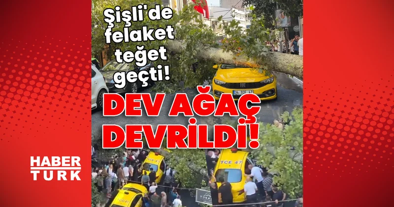 Son dakika! Şişli de ağaç devrildi! Felaket teğet geçti! Son dakika haberleri