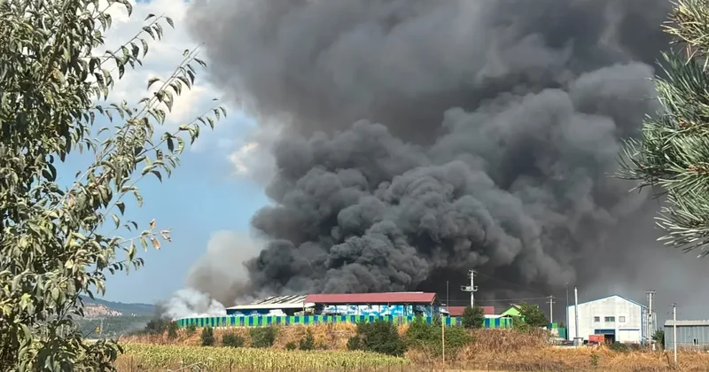 Bolu Belediyesi ne ait geri dönüşüm tesisinde korkutan yangın