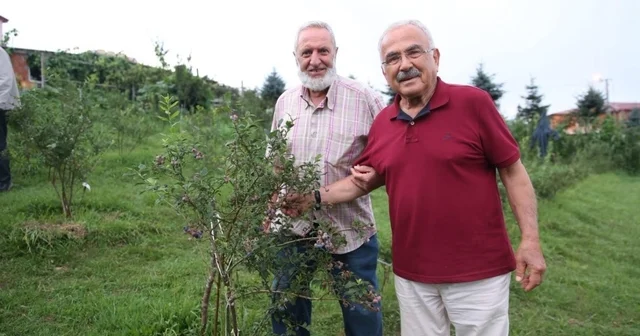 Başkan Güler: Hem üretime hem de alıma destek veriyoruz Ordu da mavi yemiş ve çoban fasulyesi üretimi yaygınlaşıyor Ordu Haberleri Habertürk Yerel Haberler