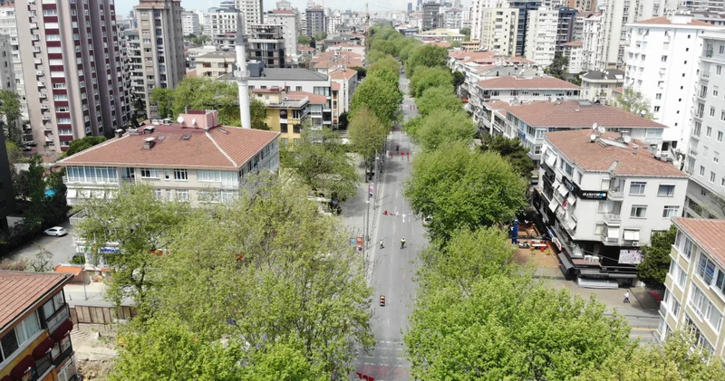Avrupa da şato almak İstanbul un bu ilçelerinde ev almaktan ucuz