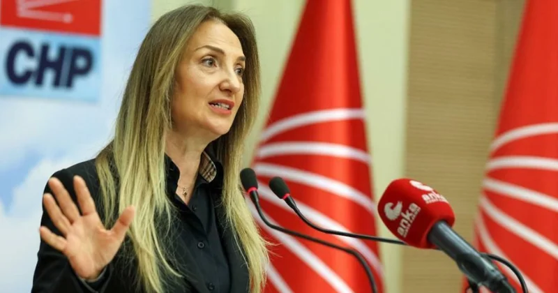 CHP den ihracı istenen Aylin Nazlıaka dan butlan yönetimine sert sözler Sözcü Gazetesi