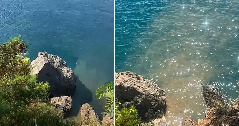 Falezlerden denize atık su akmasına soruşturma