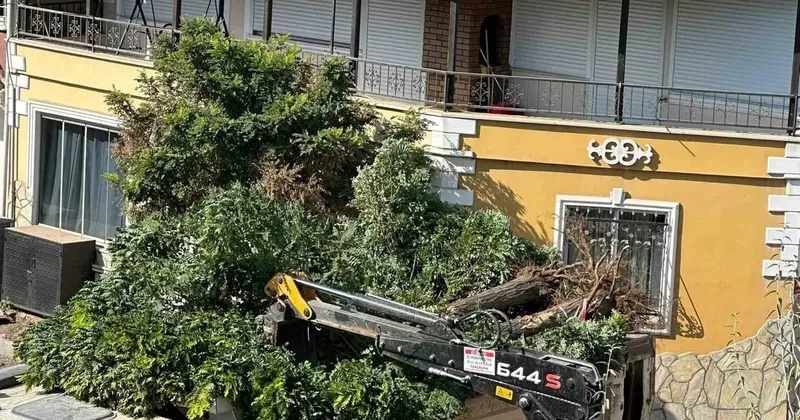 Sındırgı’da yol yapım çalışmaları sırasında ağaçlar söküldü