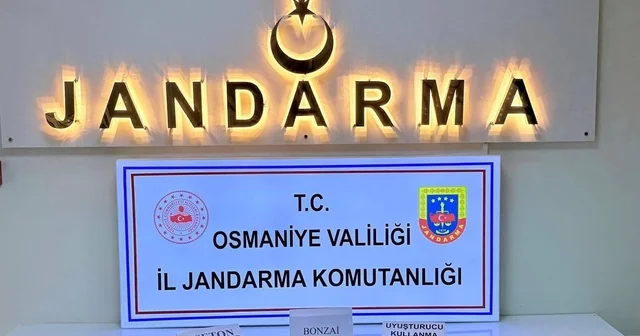 Osmaniye de jandarmadan patlayıcı ve silah operasyonu Osmaniye Haberleri Habertürk Yerel Haberler