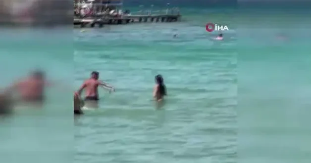 Çeşme’de denizde görülen yılan paniğe neden oldu