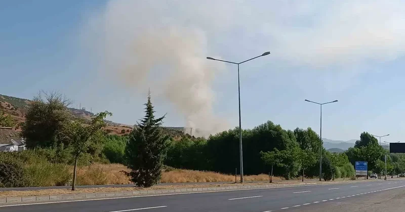 Bingöl’de otluk alanda çıkan yangın büyümeden söndürüldü
