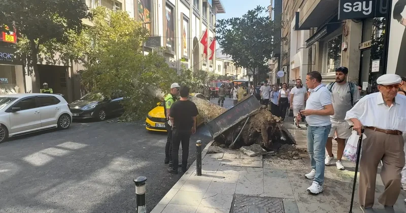 Şişli’de ağaç devrildi; yol trafiğe kapandı