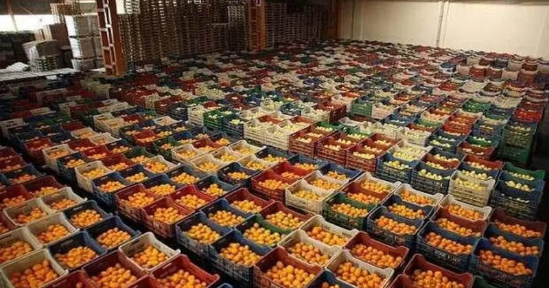 Türk yaş meyvesi Avrupa pazarında atağa kalktı! İhracat ilk kez 1 milyar doları aştı