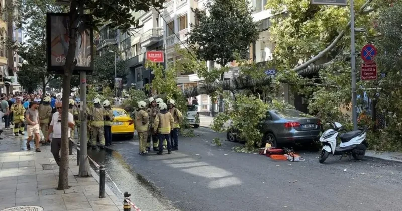 Nişantaşı’nda çınar ağacı iki aracın üzerine devrildi