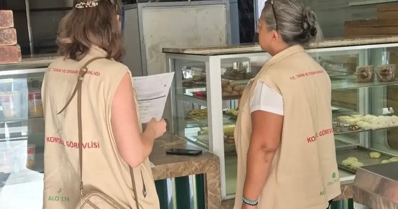 Söke’de gıda işletmeleri denetlendi