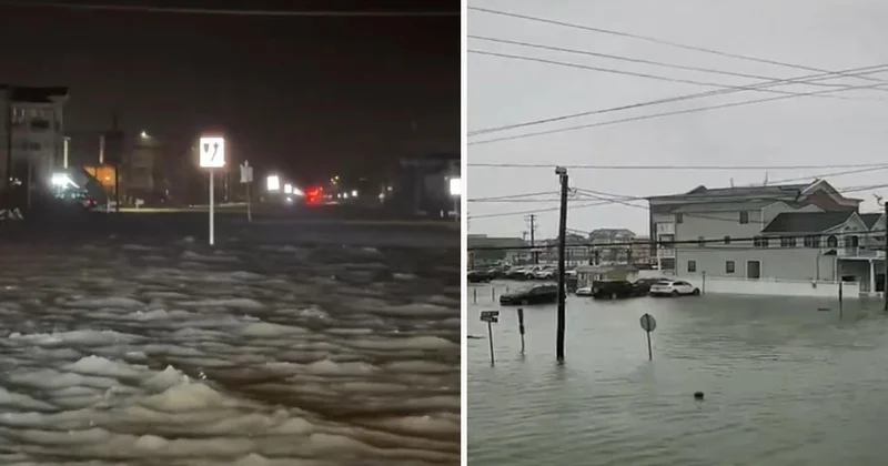 New Jersey de sel yolları ve evleri vurdu, 70 binden fazla hane elektriksiz kaldı