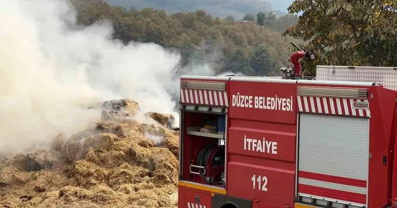 Besi çiftliğinde çıkan yangın güçlükle söndürüldü
