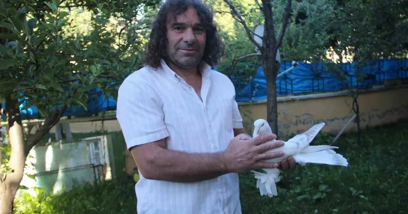 Uzun yol şoförünün sıra dışı güvercin tutkusu: Değeri dudak uçuklattı