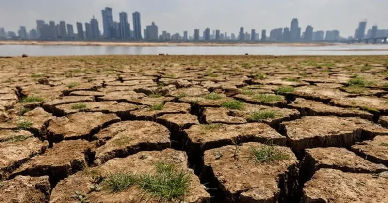 El Nino nun Godzilla versiyonu geliyor: En az 450 bin kişi hayatını kaybedecek Sözcü Gazetesi