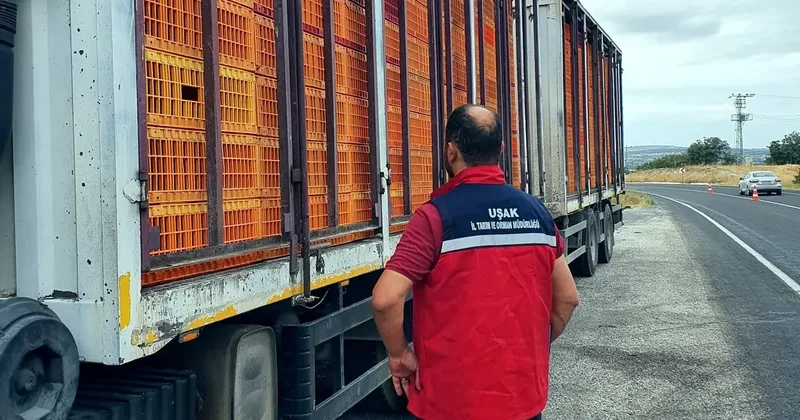 Uşak’ta hayvan hastalıklarına karşı yol kontrol ve denetimler aralıksız devam ediyor