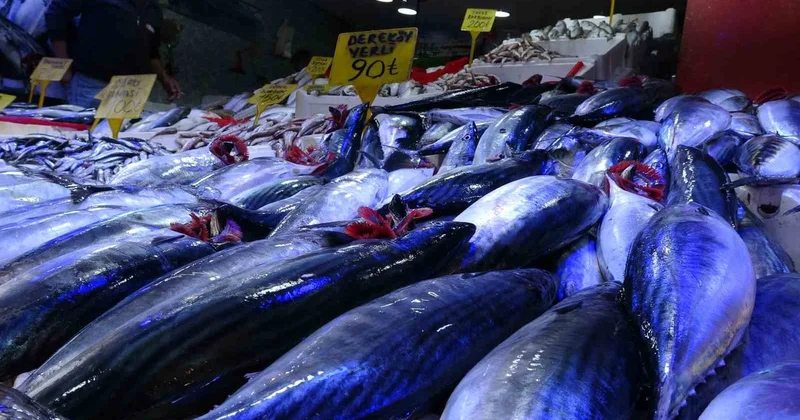 Karadeniz deki bolluk tezgaha yansıdı: Samsun da palamutun fiyatı 90 TL ye geriledi