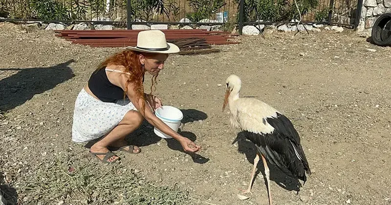 Sitenin bahçesine konan leyleğe sahip çıkıp, balık ve etle besliyorlar